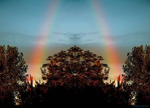 Color Photography Poster featuring the photograph The Rainbow Effect #1 by Sue Stefanowicz