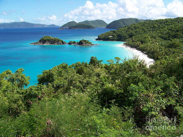Usvi Poster featuring the photograph Trunk Bay #1 by Carol Bradley