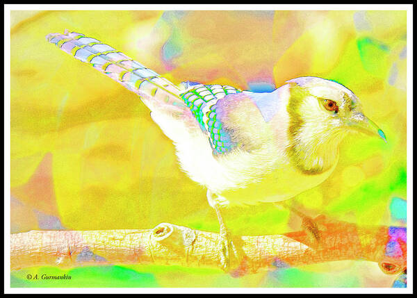 Cyanocitta Cristata Poster featuring the digital art Blue Jay, Animal Portrait #15 by A Macarthur Gurmankin
