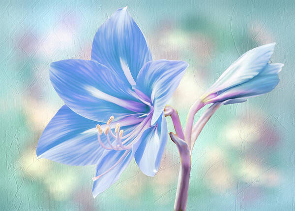  Poster featuring the digital art Amaryllis #2 by Bill Johnson
