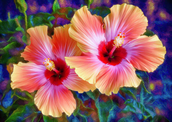  Poster featuring the digital art Hibiscus Duo by Bill Johnson