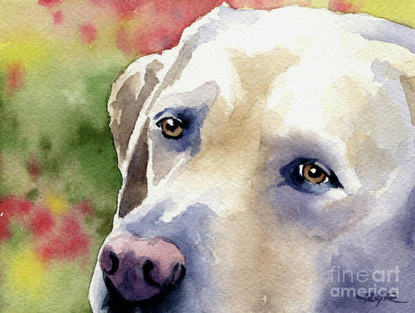 Labrador Poster featuring the painting Labrador Retriever #1 by David Rogers