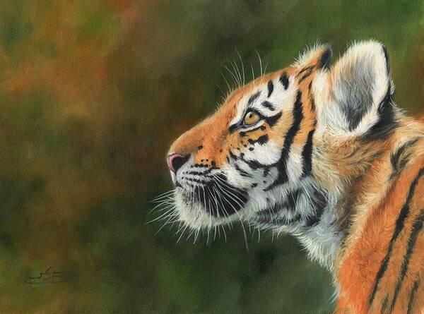 Tiger Poster featuring the painting Young Amur Tiger #2 by David Stribbling