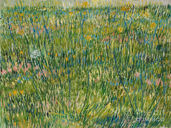 Vincent Van Gogh Poster featuring the painting Patch of Grass #6 by Vincent van Gogh