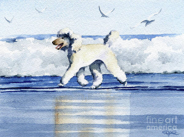 Poodle Poster featuring the painting Poodle at the Beach #2 by David Rogers