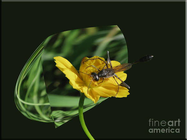 Wasp Poster featuring the photograph 3D Wasp by Donna Brown