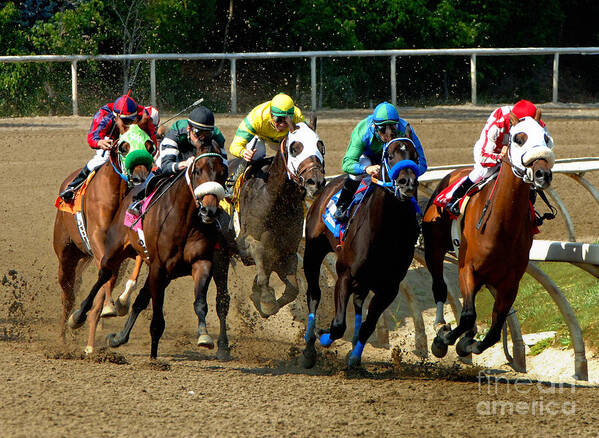 Horses Poster featuring the photograph Horses #7 by Marc Bittan