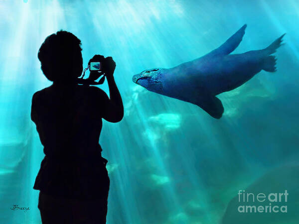 Aquarium Of The Pacific Poster featuring the photograph A Captured Moment by Jennie Breeze