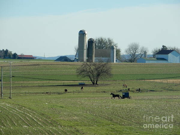 Amish Poster featuring the photograph A Clear November Day by Christine Clark
