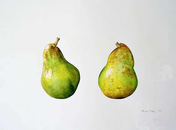 Fruit Poster featuring the painting A Pair of Pears by Alison Cooper