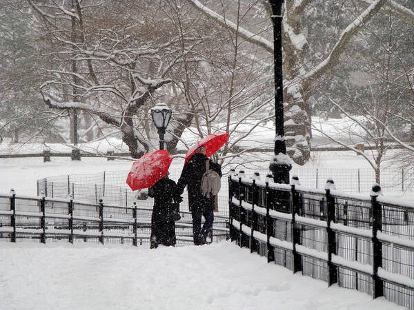 Central Park Poster featuring the photograph Winter under Red Umbrellas by Cornelis Verwaal