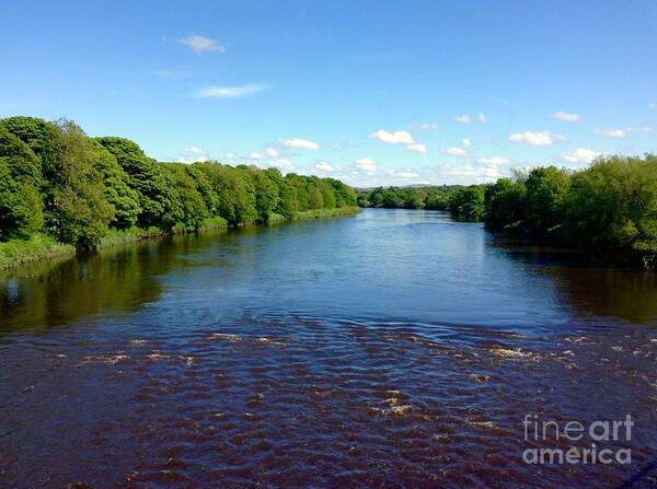 The River Ribble Poster featuring the photograph A View of The River Ribble 2 by Joan-Violet Stretch