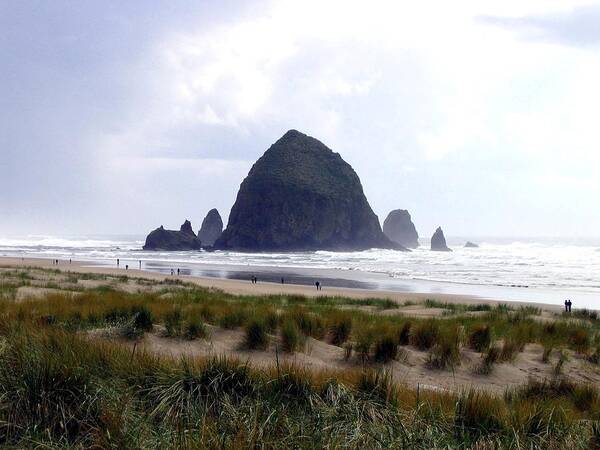 Cannon Beach Poster featuring the photograph A Walk In The Mist by Will Borden