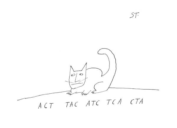 Cats Felines Pet Pets Poster featuring the drawing Act Tac Atc Tca Cta by Saul Steinberg