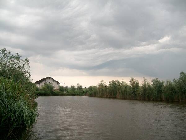 Landscape Photo Poster featuring the photograph After a rainy day in Danube Delta by Georgeta Blanaru