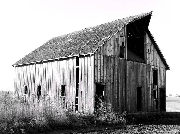 Barn Poster featuring the photograph Albert City Barn 3 by Julie Hamilton