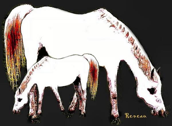 Horses Poster featuring the photograph ALBINO MARE and COLT by A L Sadie Reneau