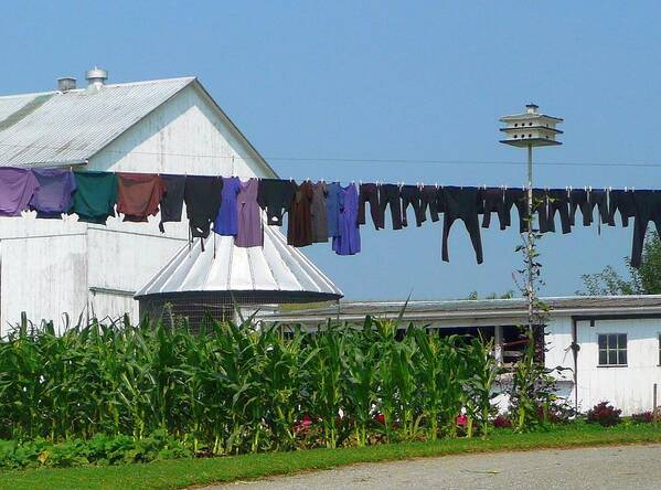 Yard Poster featuring the photograph Amish Laundry by Lori Seaman