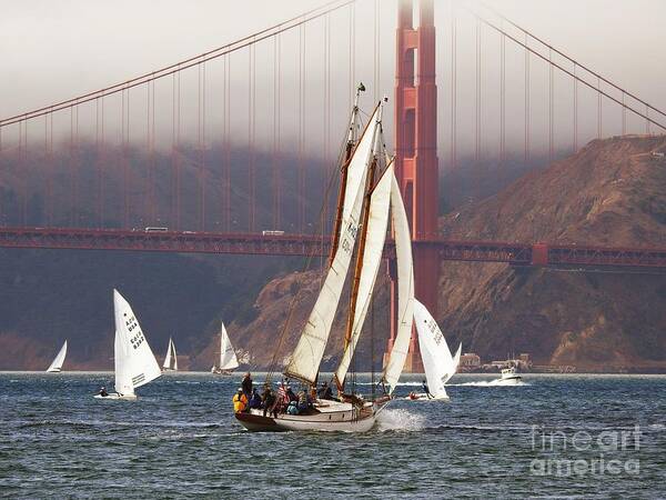 Yankee Schooner-schooners-gaff Rigged-sailboats Poster featuring the photograph Another Fine Day by Scott Cameron