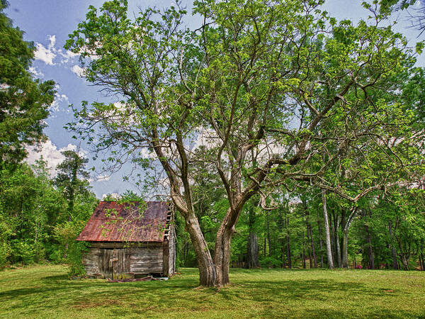 Old Barn Poster featuring the photograph Aunt Lib's Barn by Mike Covington