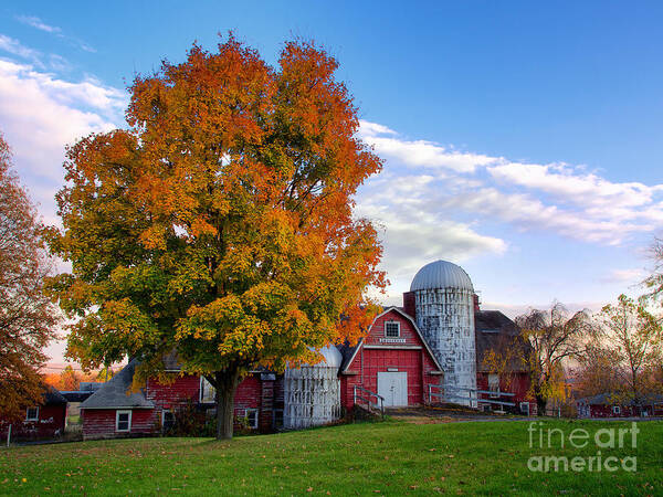 Fall Poster featuring the photograph Autumn at Lusscroft Farm by Mark Miller