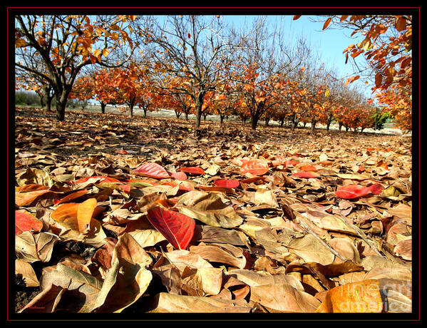 Autumn Poster featuring the photograph Autumn colors 02 by Arik Baltinester