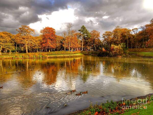 Southport Poster featuring the photograph Autumn Over The Lake at Hesketh Park 2 by Joan-Violet Stretch