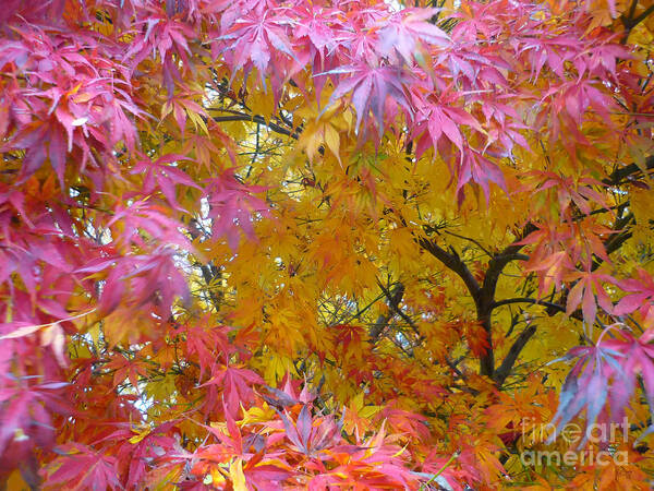 Autumn Poster featuring the photograph Autumn Pink by Jeff Breiman