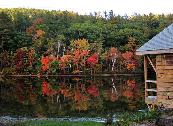 Landscape Poster featuring the photograph Autumn Reflections And Cabin on Baker Pond by Nancy Griswold