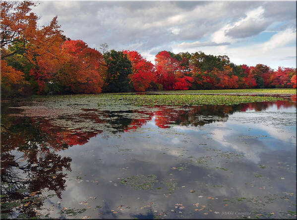 Landscape Poster featuring the photograph Autumn Reflections by Mikki Cucuzzo