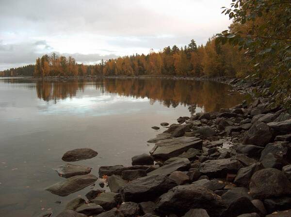 Landscape Poster featuring the photograph Autumn view 5 by Sami Tiainen