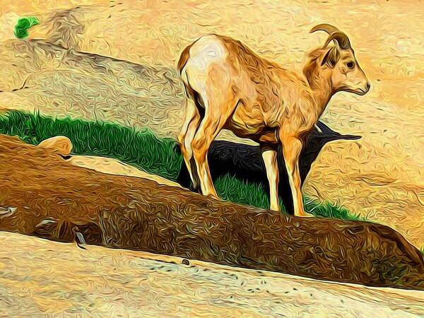 Baby Poster featuring the photograph Baby Desert Bighorn In Abstract by Kristalin Davis