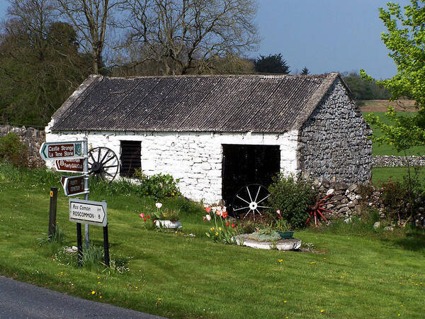 Ireland Poster featuring the photograph Barn at Fuerty Church Roscommon Ireland by Teresa Mucha
