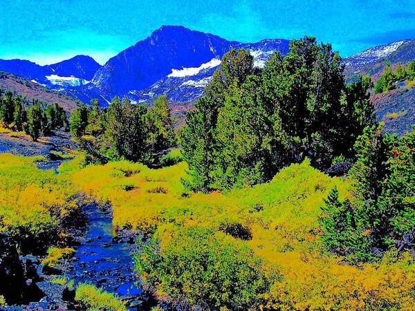 Sierra Nevada Poster featuring the photograph Whitebark Pines Creekside Sierra Nevada 11000 Feet by Scott L Holtslander