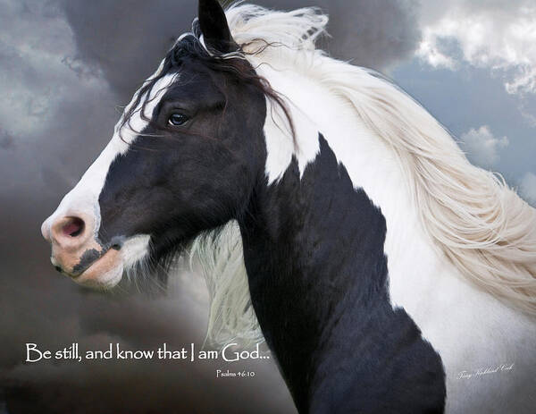 Horse Poster featuring the photograph Be Still and Know that I Am by Terry Kirkland Cook