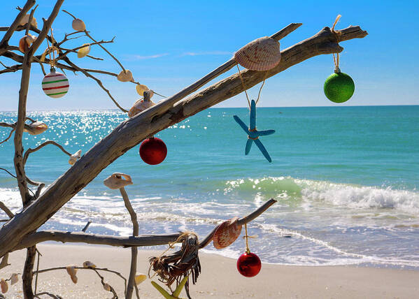  Poster featuring the photograph Beach Christmas Tree by Robert Wilder Jr