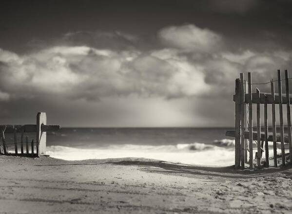 Beach Poster featuring the photograph Beach Fence - Wellfleet Cape Cod by Darius Aniunas