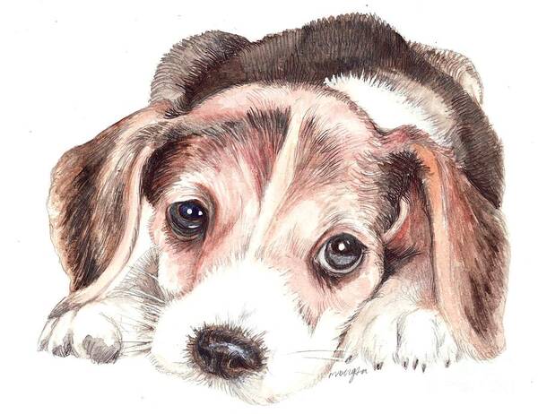 Beagle Poster featuring the painting Beagle Puppy by Morgan Fitzsimons