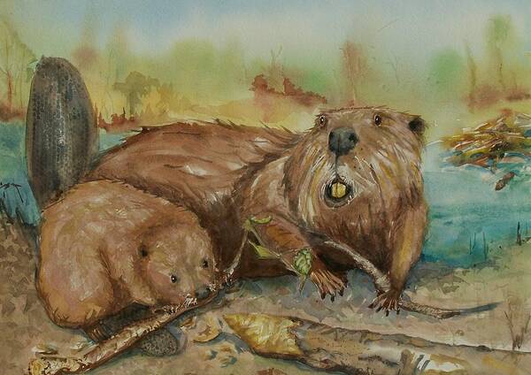 Beaver Poster featuring the painting Beavers by Barbara McGeachen