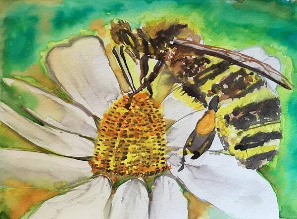 Honeybee Poster featuring the painting Bee Collecting Nectar and Pollen by Dottie Visker