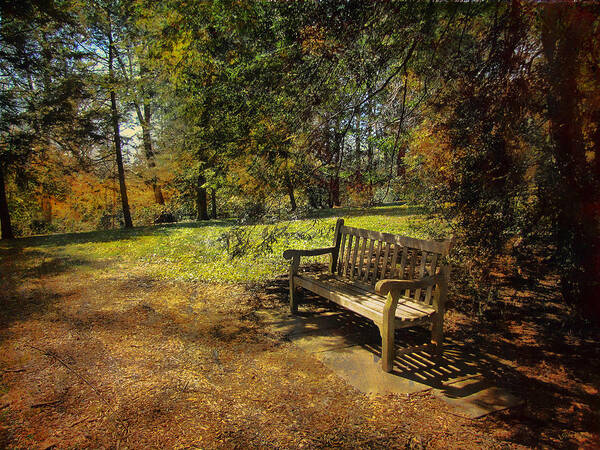 Bench Poster featuring the photograph Bench by John Rivera