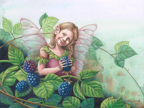 Fairies Poster featuring the drawing Blackberry Fairie by Joan Garcia