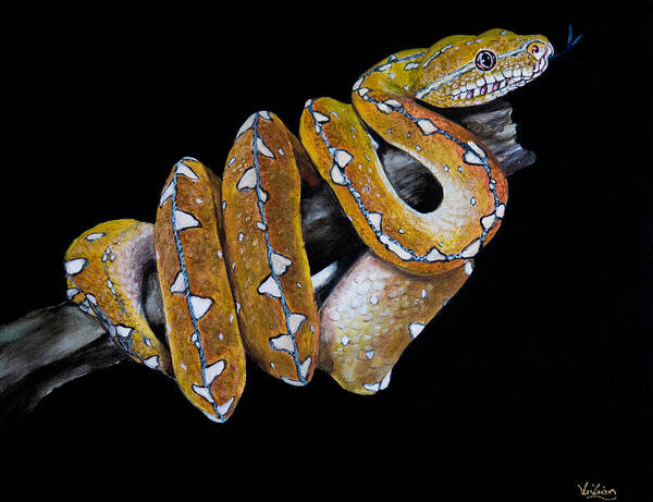 Wild Animal Poster featuring the painting Biak Green Tree Python by Vivian Casey Fine Art