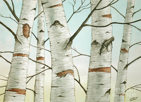 Birch Tree Poster featuring the painting Birch Trees in Late Autumn in watercolor by Christopher Shellhammer