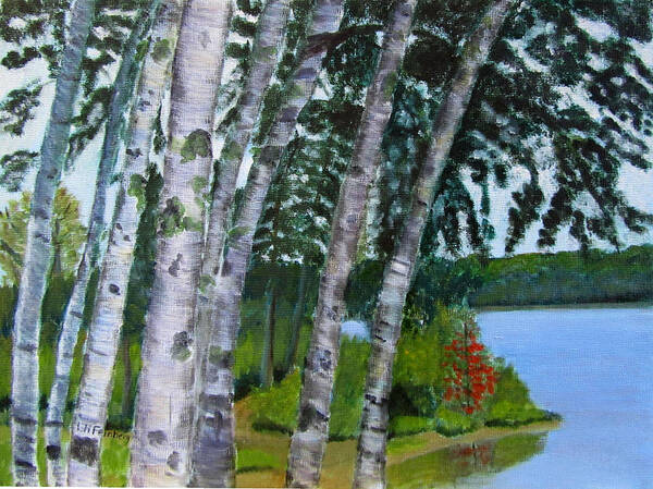 Birches Poster featuring the painting Birches at First Connecticut Lake by Linda Feinberg