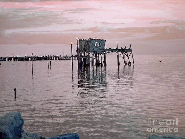 Dock Poster featuring the photograph Bird Dock by Deborah Ferree