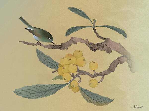Japanese Plum Poster featuring the digital art Bird in Loquat Tree by M Spadecaller