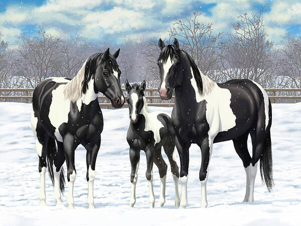 Horses Poster featuring the painting Black Paint Horses In Winter Pasture by Crista Forest