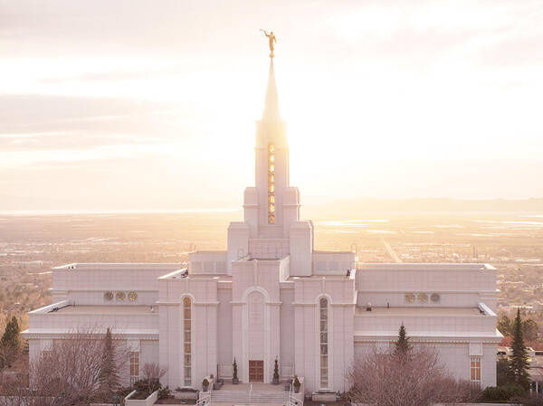 Bountiful Temple Poster featuring the photograph Bountiful Golden Glow by Emily Dickey