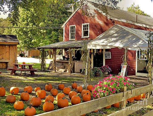 Bramhall's Country Store Poster featuring the photograph Bramhalls Country Store Fall 2015 by Janice Drew